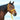 Cashel Flat Braid Halter with 9' Lead Rope Gold
