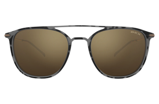 Bex Sunglasses Dillinger