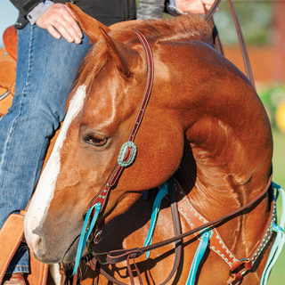 Martin Slip Ear Headstall with Turquoise Dots & Buckles